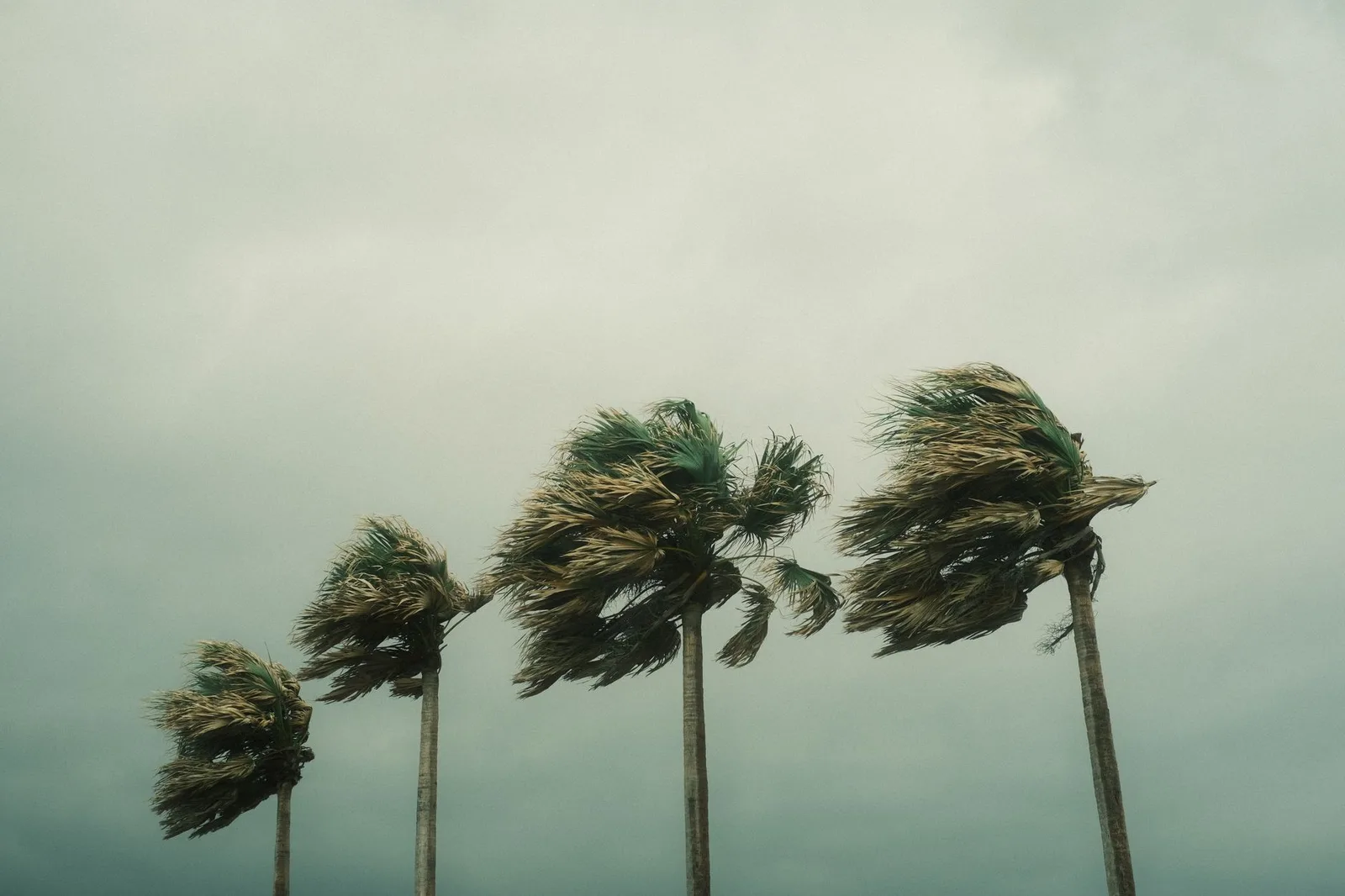 Storm preparation in Babcock Ranch, FL